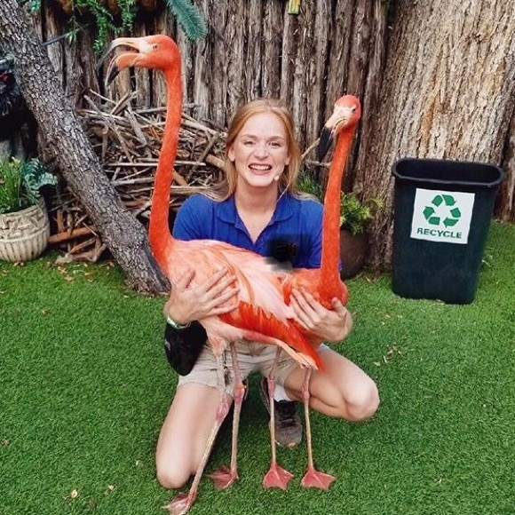 Meet your Posher, Sabrina - Picture 1 of 1